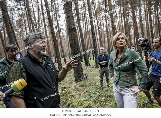 31 July 2019, Brandenburg, Treuenbritzen: Julia Klöckner, (r, CDU) talks to city forester Dietrich Henke (l) during a visit to a forest area that was severely...