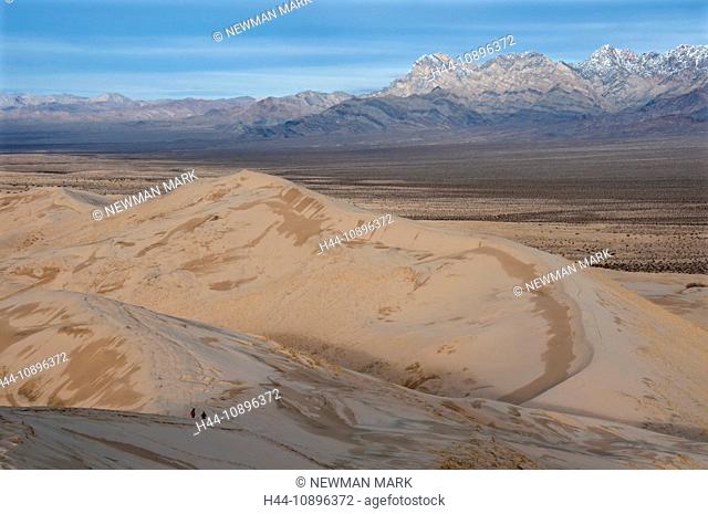 Kelso dunes, Mojave National Preserve, California, March, USA, North America, landscape, dune