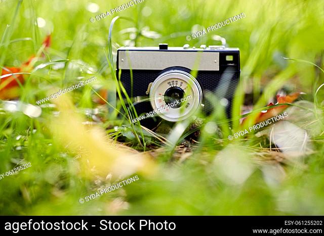 film camera and autumn leaves on ground in forest
