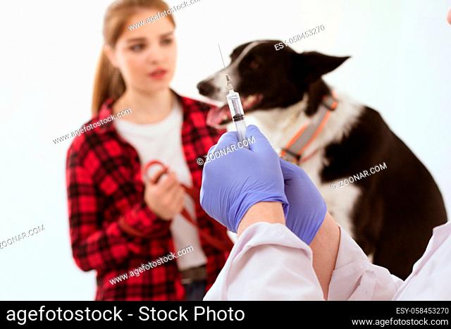 Vet preparing injection for dog patient. Hands of professional vet holding injection in his hands while patient and their owner wait in background
