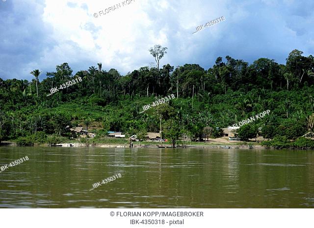 Indigenous Village Sawle Muybu, people of Mudndururú, river Rio Tapajos, Amazon rainforest, district Itaituba, Pará state, Brazil