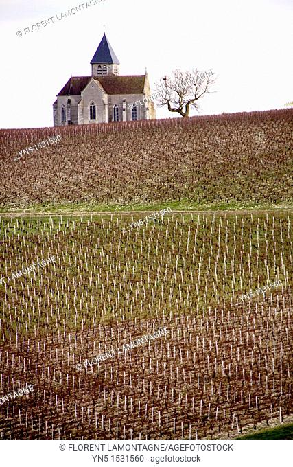 Church of the french village of Prehy, lost in the vineyards and famous for its wine of Chablis, nice view and cliché of Burgundy