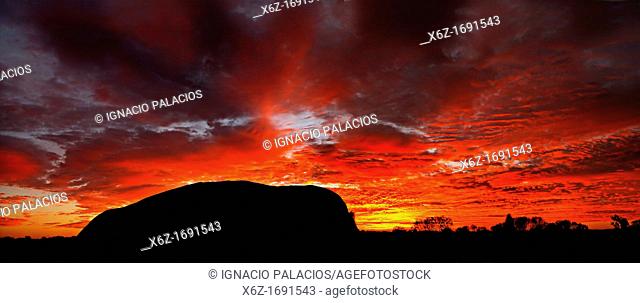 Panoramic picture of Uluru Ayers Rock at sunrise in the Kata Tjuta National Park