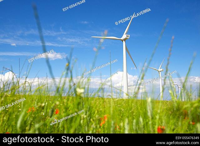 Windmills for electric power production, Zaragoza province, Aragon in Spain