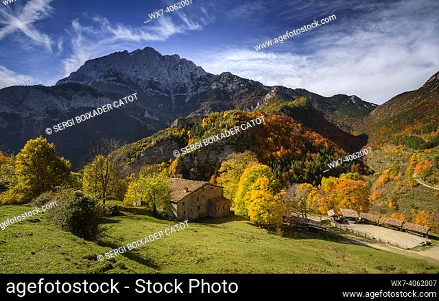 Gresolet valley and beech forest in autumn, under the Pedraforca massif (Cadí-Moixeró Natural Park, Catalonia, Spain, Pyrenees)
