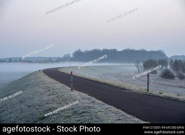 28 February 2021, Saxony-Anhalt, Magdeburg: A cycle path leads along the Elbe dike near Glindenberg. Behind it lies ground fog on a field