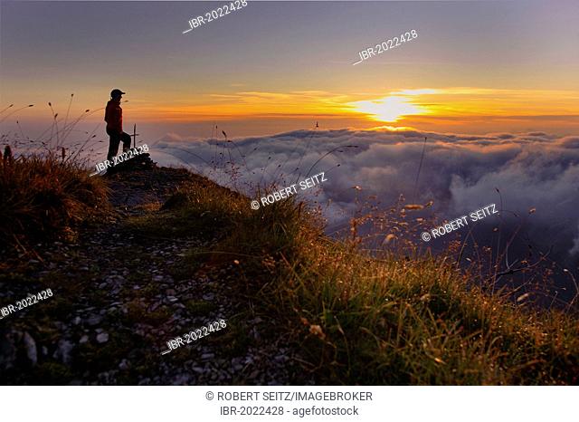 Mountaineer at dawn, Ammergebirge, Ammer Mountains, Garmisch, Bavaria, Germany, Europe