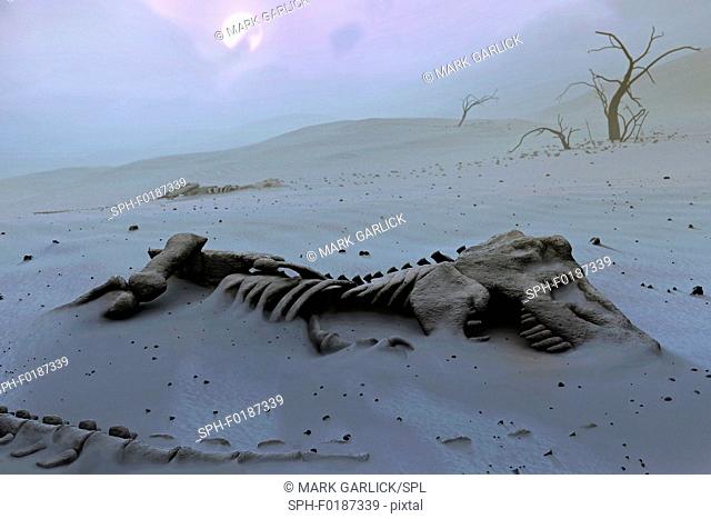Skeletons of tyrannosaurs partially buried in the middle of what has become a desert. This would have been a common scene some 65 million years ago
