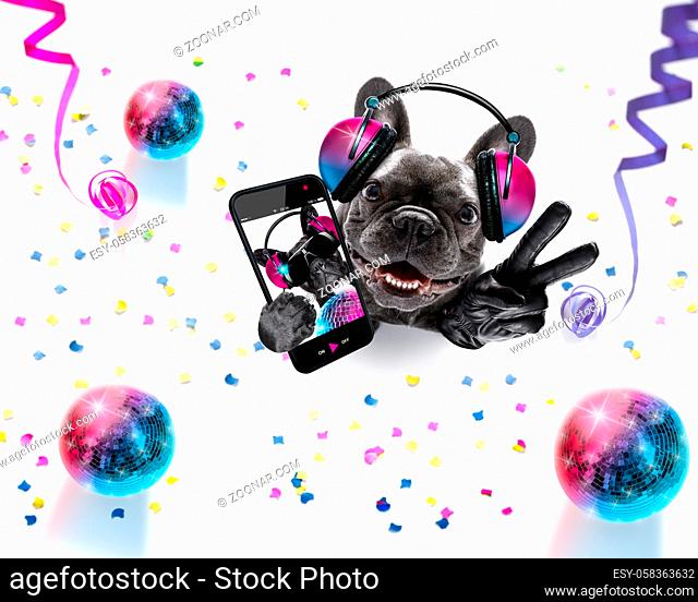 french bulldog dog playing music in a club with disco ball , isolated on white background, with vinyl record