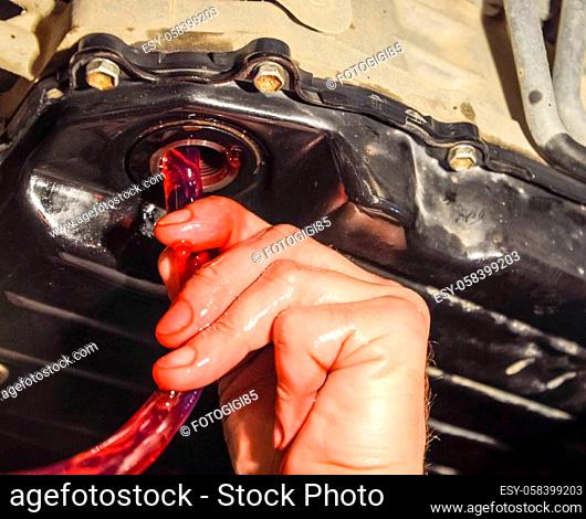 Oil change in automatic transmission. Filling the oil through the hose. Car maintenance station. Red gear oil. The hands of the car mechanic in oil