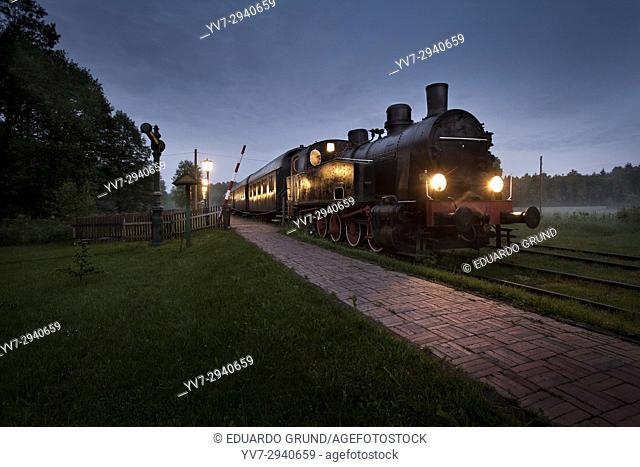 In this train if you wish you can spend the night, as it is prepared as an original hotel. Bialowieza National Park. Bialowieza, Podlasie, Poland, Europe
