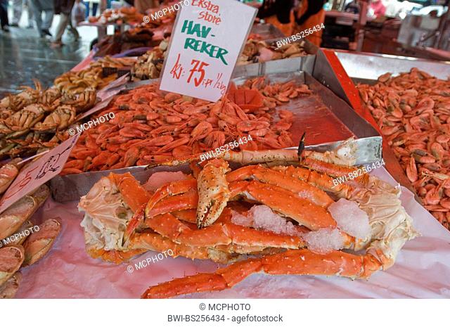 shrimps and king crabs at the fish market, Norway, Bergen