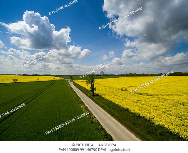 07 May 2019, Saxony, Polditz: Flowering rape colours the landscape near Polditz in Central Saxony, taken with a drone. Photo: Jan Woitas/dpa-Zentralbild/dpa