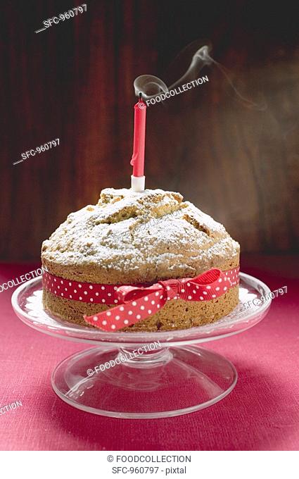 Birthday cake with red bow and blown-out candle