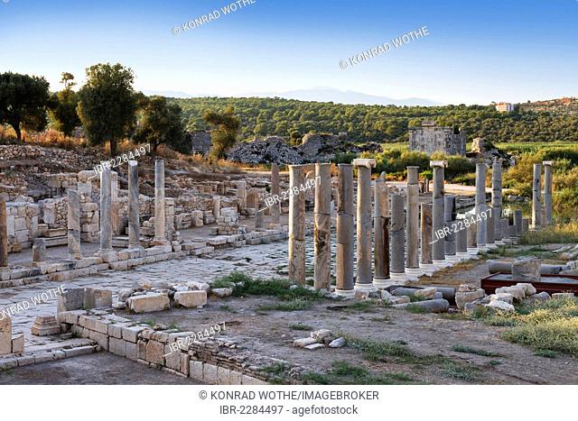 Columns, colonnaded street of the ancient city of Patara, Lycian coast, Lycia, Turkey