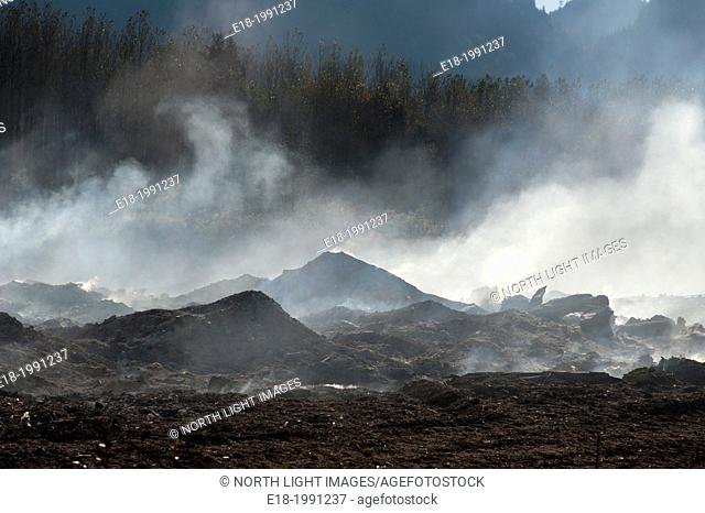 Canada, BC, Fraser Valley, Agassiz. Slash burning on the side of the Fraser River. River debris