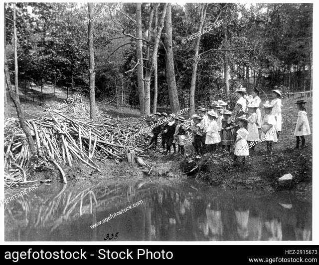 Group of public school children looking at beaver dam in the National Zoo(?), Washington DC, (1899?) Creator: Frances Benjamin Johnston