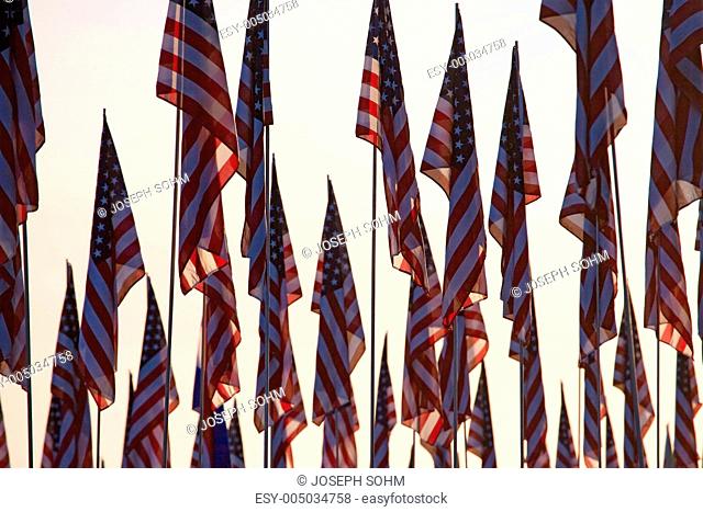 3000 Flags, September 11, 2009, Malibu CA
