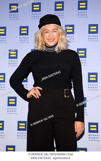 17th Annual HRC Greater New York Gala, held at the New York Marriott Marquis in New York City. Featuring: Milk Where: New York City, New York