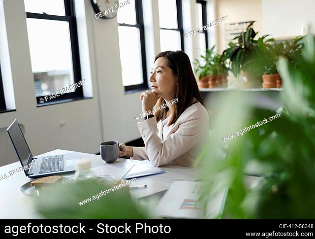 Focused businesswoman working at laptop in office with plants
