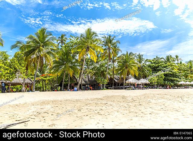 Sandy beach beach with palm trees, Andilana Beach, Nosy Be Island, Madagascar, Africa