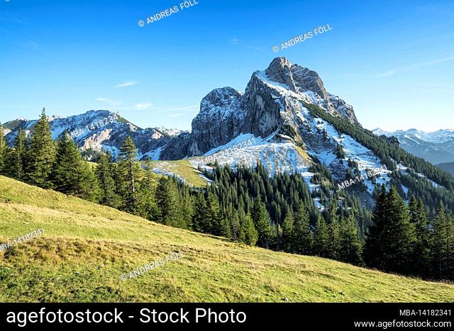 Picturesque mountain landscape with green forests, grass and snow-capped mountains on a sunny autumn day. View to the Aggenstein