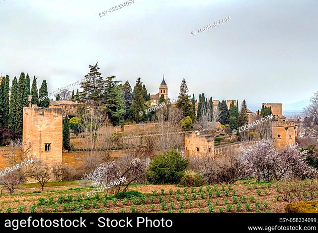 view of Alhambra from Generalife garden, Granada, Spain