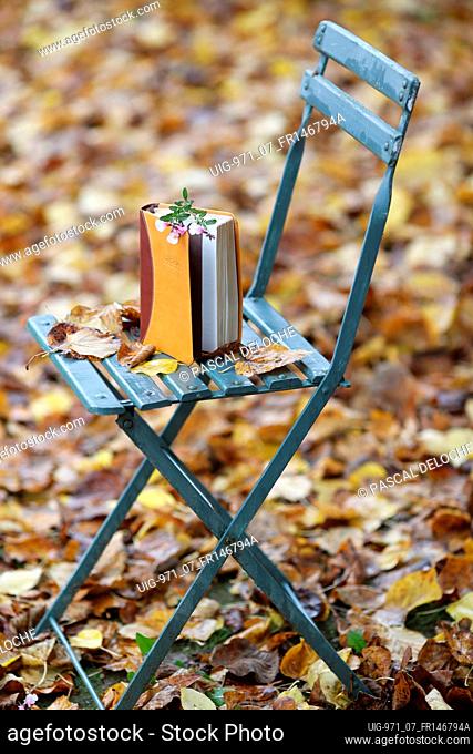 Bible on a chair with dry fallen autumn leaves. Faith and spirituality. France