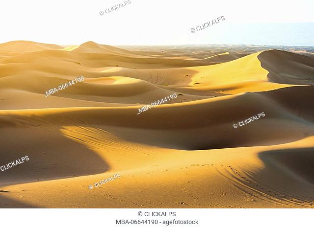 Erg Chigaga, Sahara desert, Morocco. Sand dunes at sunset
