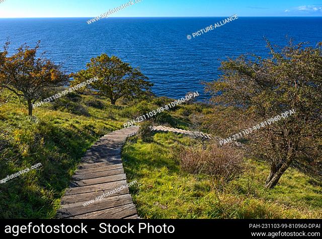 23 October 2023, Denmark, Vang: The autumnal landscape on the west coast of the Danish island in the Baltic Sea. The island of Bornholm - together with the...
