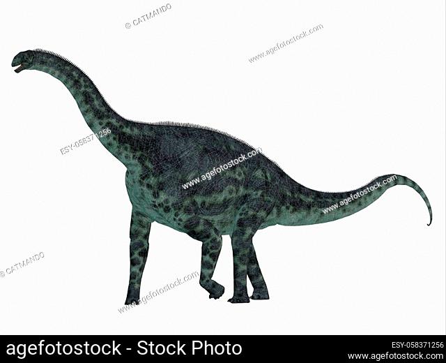 Cetiosaurus was a herbivorous sauropod dinosaur that lived in Morocco, Africa in the Jurassic Period