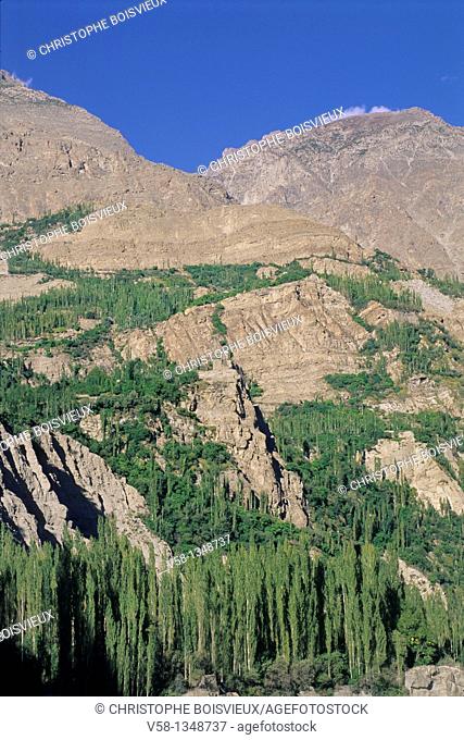 Pakistan, Hunza valley, Altit village