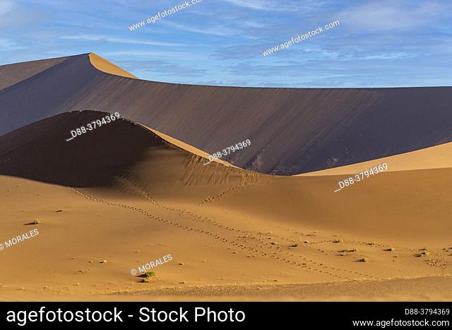 Namibia, Hardap region, Namib Desert, Namib-Naukluft National Park, Namib Erg listed as UNESCO World Heritage, Sossusvlei dunes,