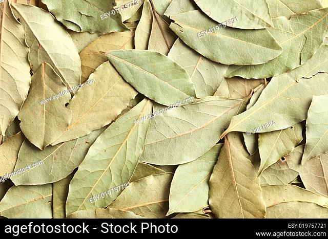 dry bay leaves background