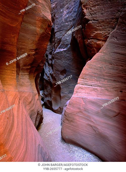 USA, Arizona-Utah border, Vermilion Cliffs National Monument, Erosion of Navajo Sandstone has formed an area of narrows at Wire Pass