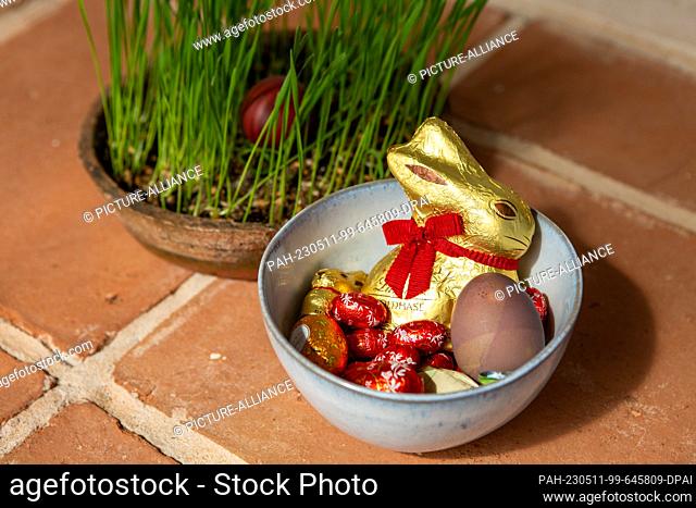 PRODUCTION - 09 April 2023, Portugal, Tomar: An Easter bunny and chocolate eggs, along with brightly colored chicken eggs