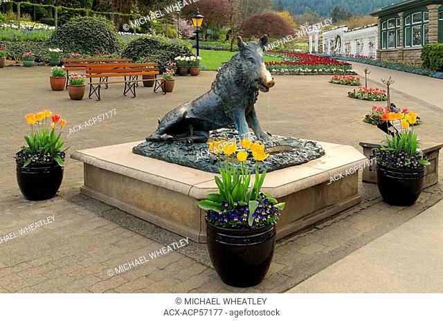 The wild boar statue, 'Tacca' Butchart Gardens, Brentwood Bay, Vancouver Island, British Columbia, Canada