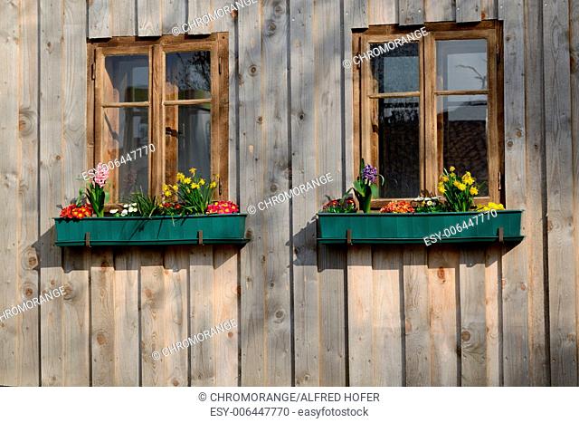 rustic wooden windows and floral decoration