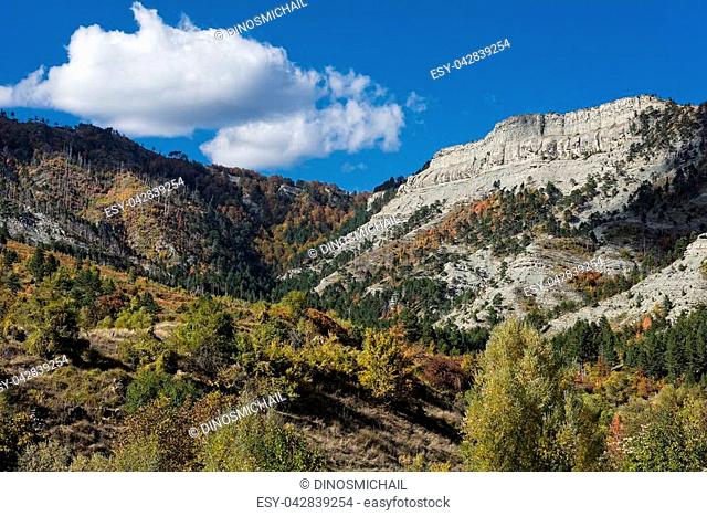 Autumnal landscape on Mount Gramos in Greece