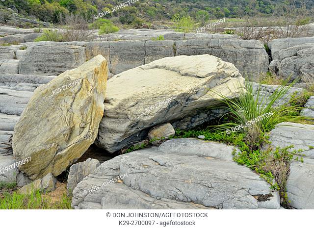 Rock formations and plant community near the Pedernales River, Pedernales Falls State Park, Texas, USA