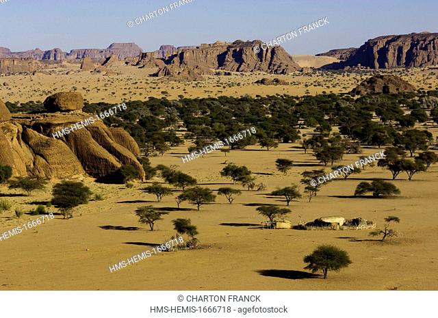 Chad, Southern Sahara desert, Ennedi massif, Archei, Toubou nomad camp