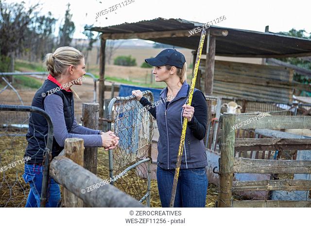 Two women working on a farm talking
