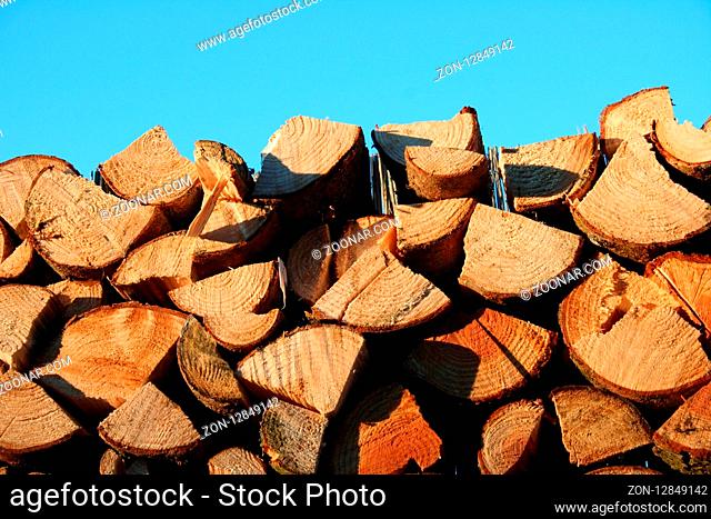 A stack piled logs, blue sky in the background