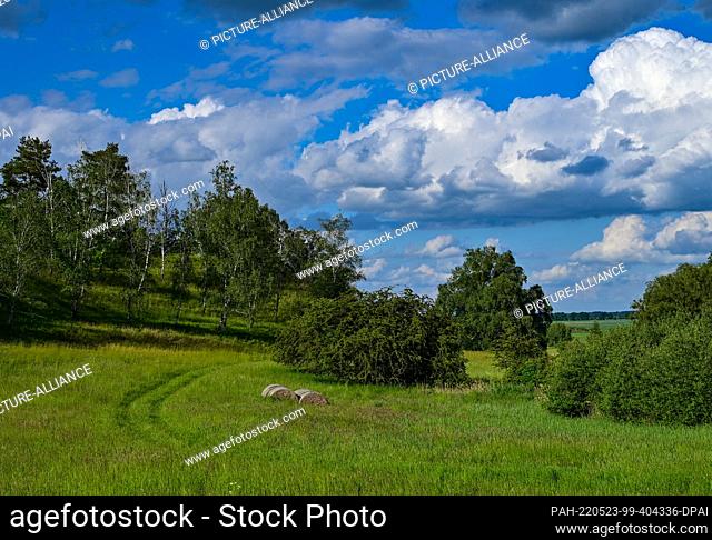 22 May 2022, Brandenburg, Carzig: Clouds drift over the landscape of a nature reserve on the edge of the Oderbruch. The Oderbruch was created after draining...