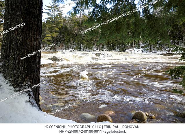 Lower Falls of the Swift River in the White Mountains, New Hampshire USA after heavy rains during the winter months. These falls are located along the...