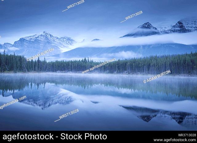 Moody misty morning at Herbert Lake in the Canadian Rockies, Banff National Park, UNESCO World Heritage Site, Alberta, Canada, North America