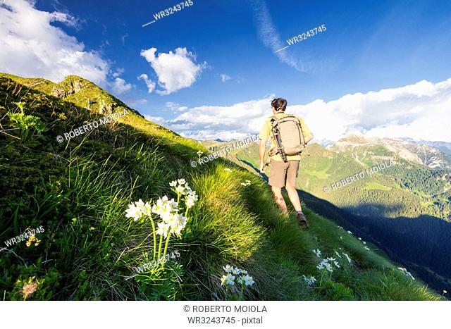 Hiker walks towards Monte Azzarini with Bergamo Orobie Alps in the background, San Marco Pass, Orobie Alps, Lombardy, Italy, Europe