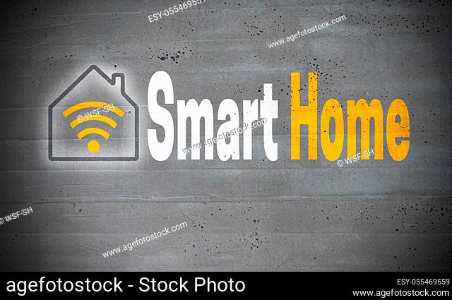 smart home, smart home