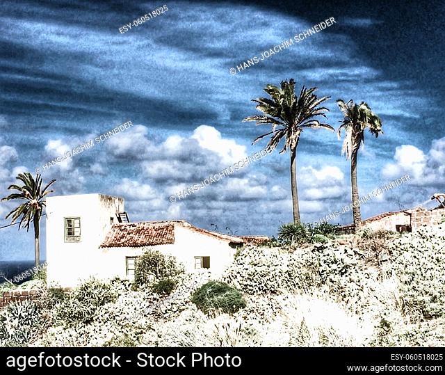 old house in Tenerife under palm trees