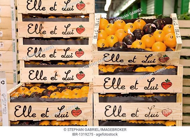 Oranges, Pavillon des Fruits et Legumes, fruit and vegetables hall, Rungis wholesale market near Paris, France, Europe
